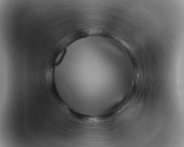 X0000093220475200710171403