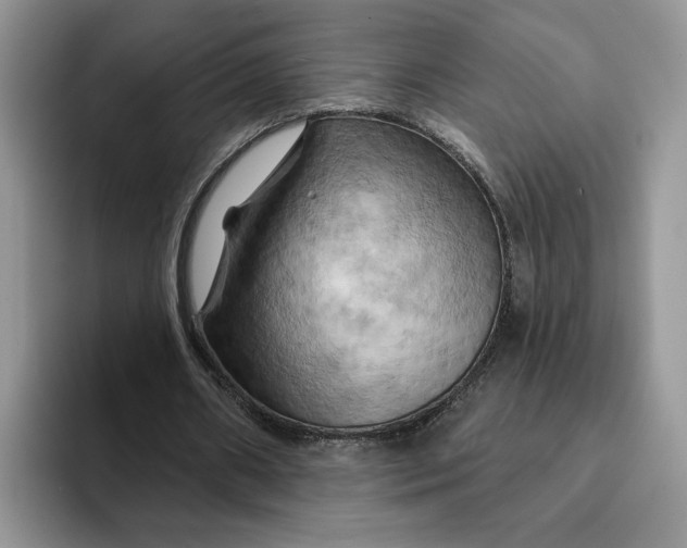 X0000093220482200710171402