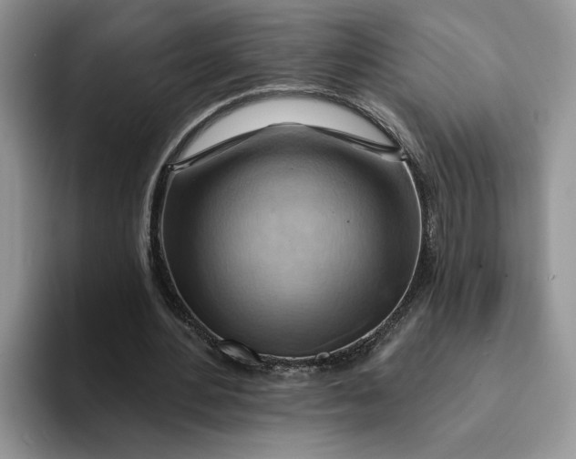 X0000093220484200710171402