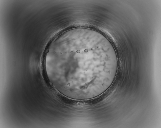 X0000093220487200710171402