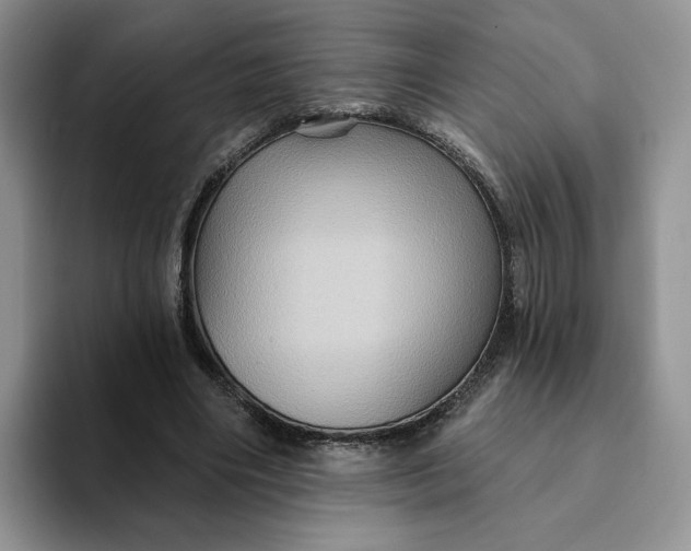 X0000093220490200710171402