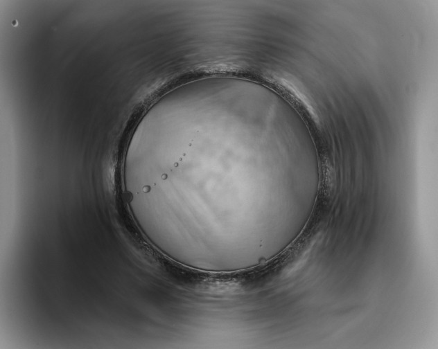 X0000093220491200710171402