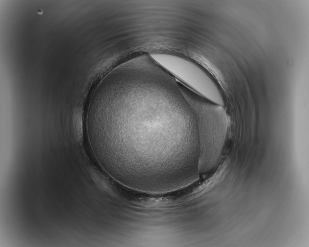 X0000093220493200710171402