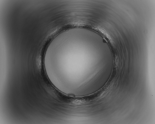 X0000093220494200710171402