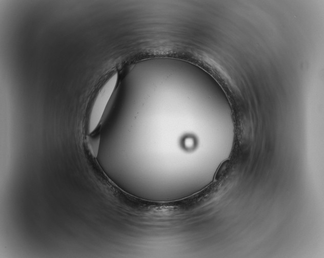 X0000093220497200710171402