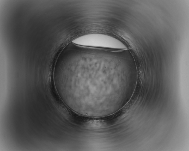 X0000093220499200710171402