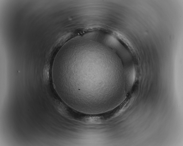 X0000093220501200710171402