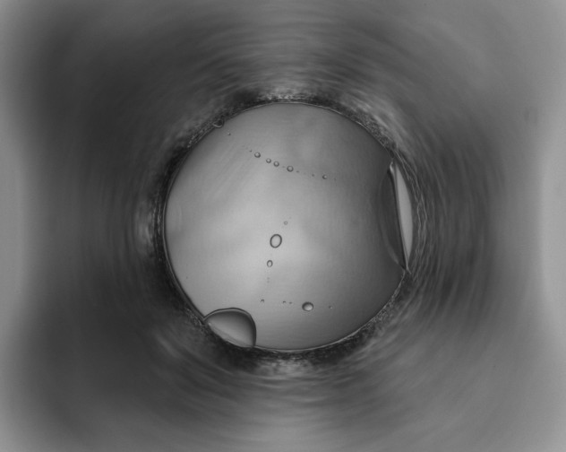 X0000093220503200710171402