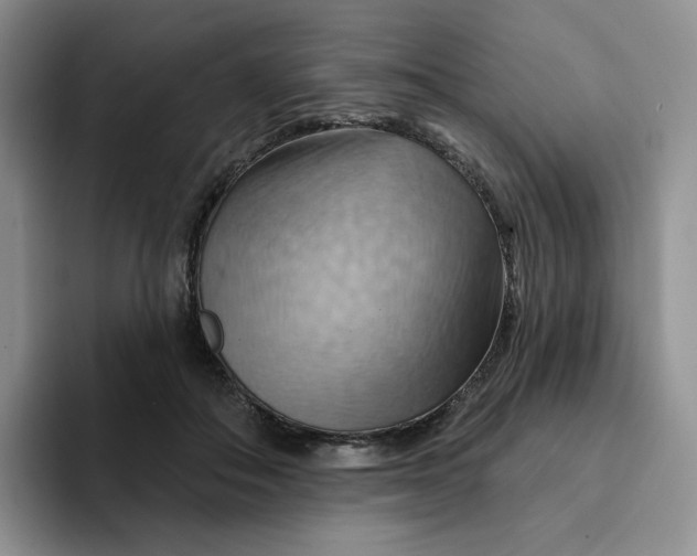 X0000093220506200710171402