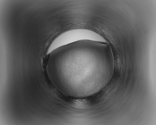 X0000093220508200710171402