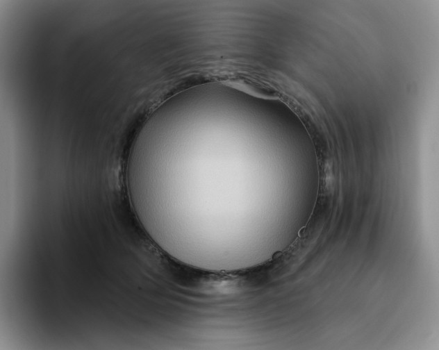 X0000093220514200710171402