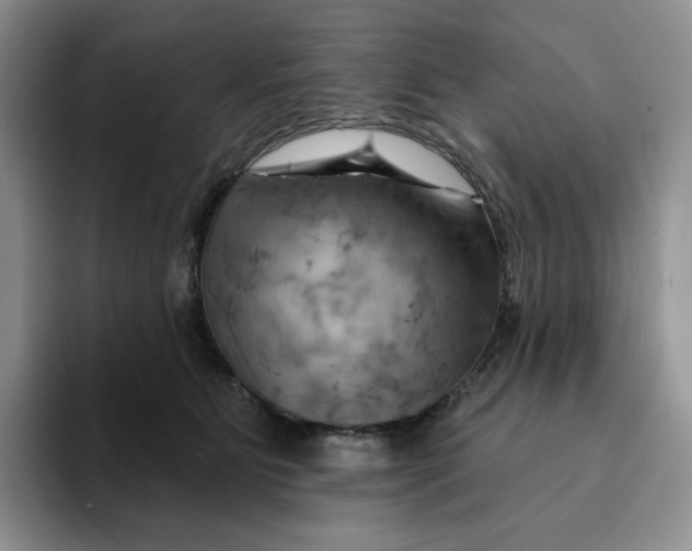 X0000093220515200710171402