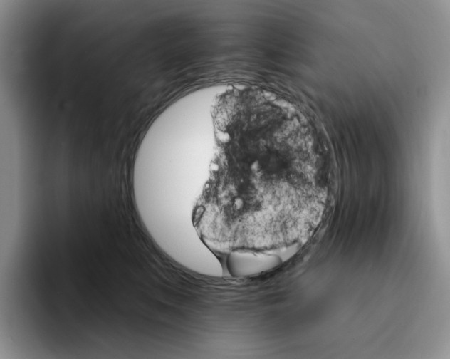 X0000093220519200710171402