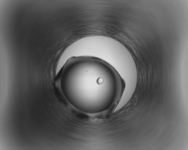 X0000093220520200710171402