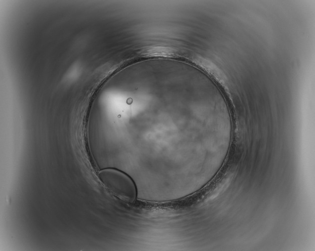 X0000093220529200710171401