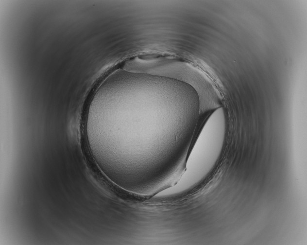 X0000093220530200710171401