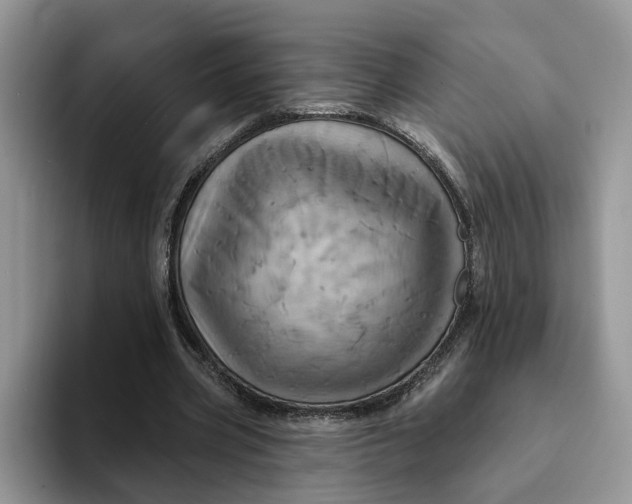 X0000093220533200710171401