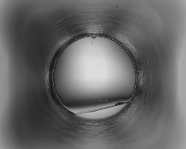 X0000093220535200710171401