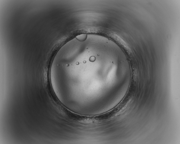 X0000093220537200710171401