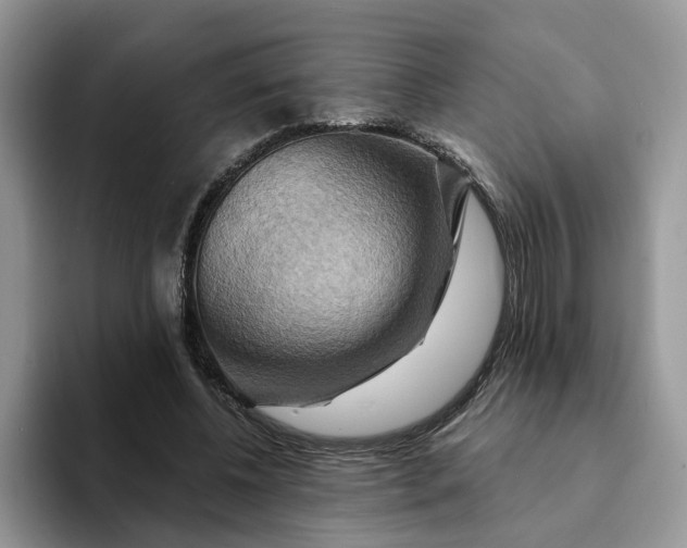 X0000093220540200710171401