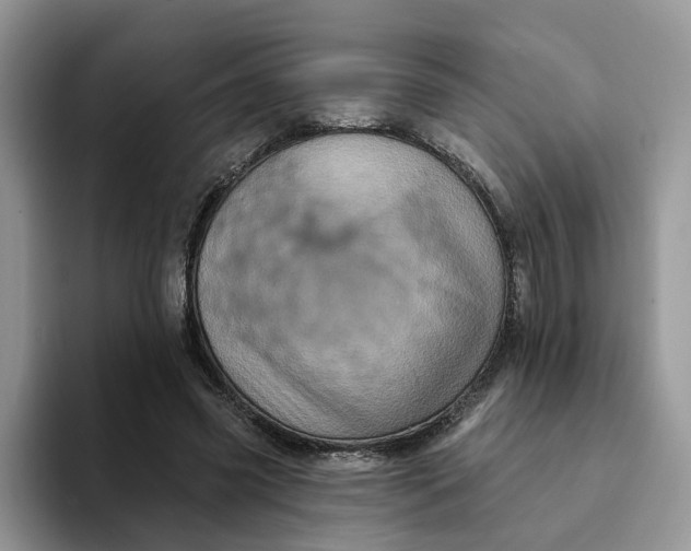 X0000093220541200710171401