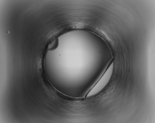 X0000093220543200710171401