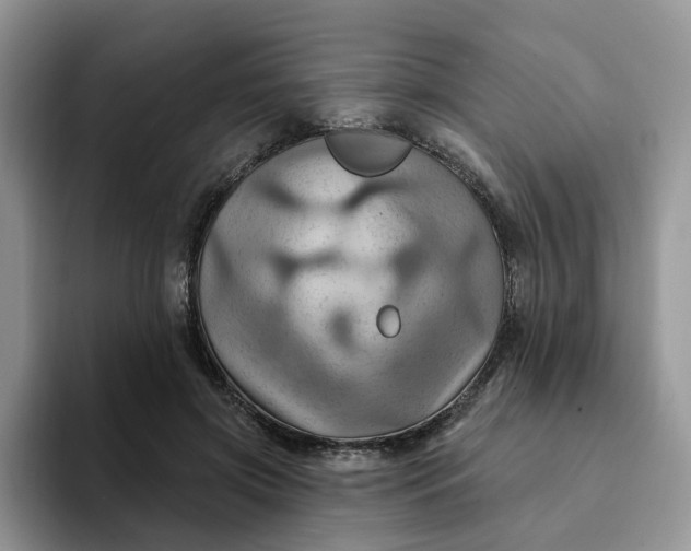 X0000093220549200710171401