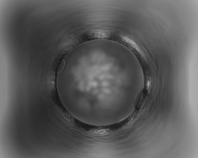 X0000093220553200710171401