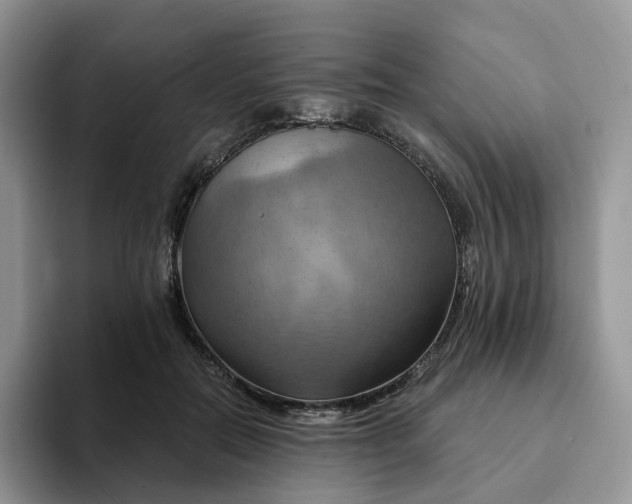 X0000093220554200710171401