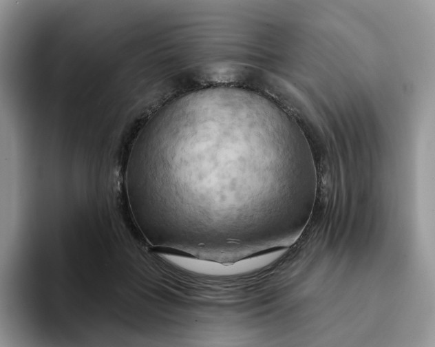 X0000093220555200710171402