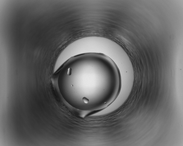 X0000093220556200710171402