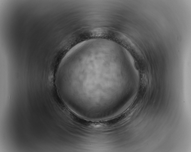 X0000093220557200710171402