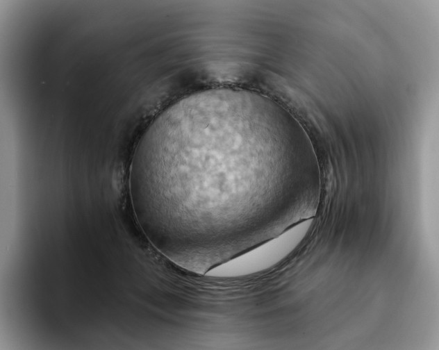 X0000093220559200710171402