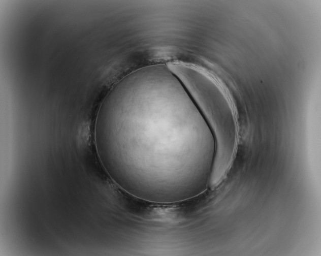 X0000093220560200710171402