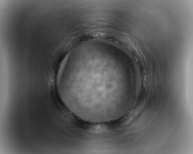 X0000093220561200710171402