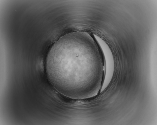 X0000093220562200710171402