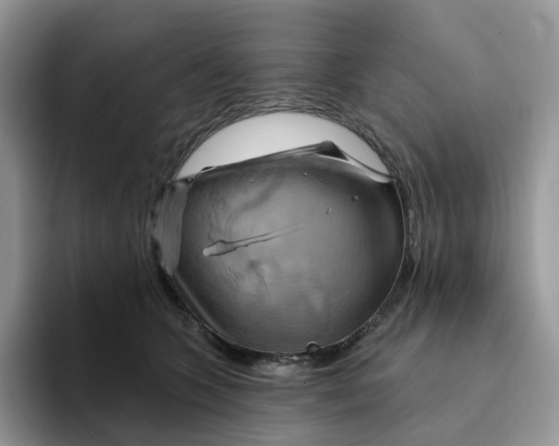 X0000093220563200710171402