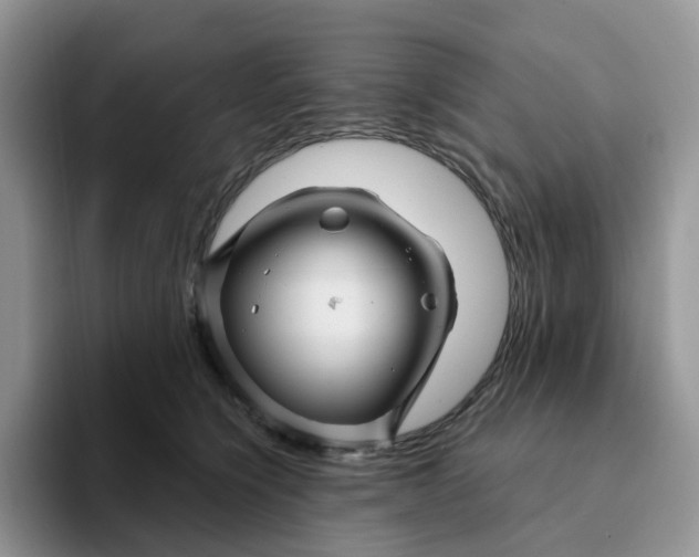 X0000093220564200710171402