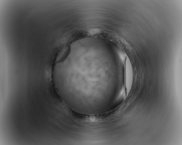 X0000093220565200710171402