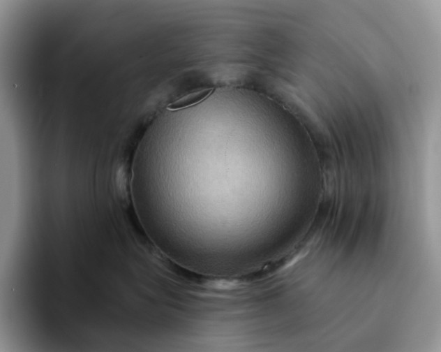 X0000093220575200710171402