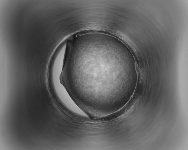 X0000093220580200710171401