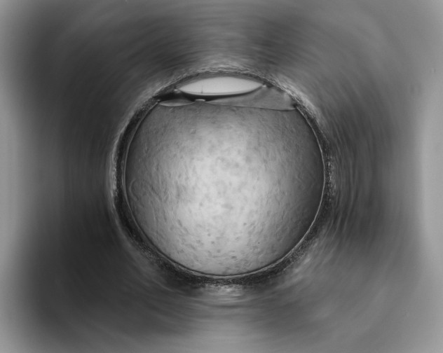 X0000093220582200710171401