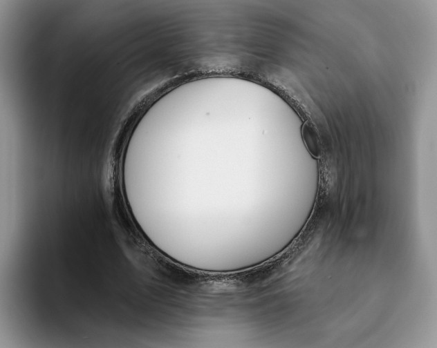 X0000093220583200710171401