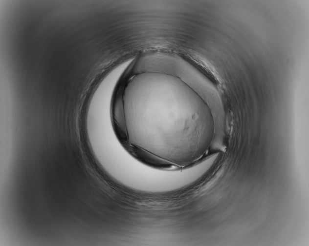 X0000093220589200710171401