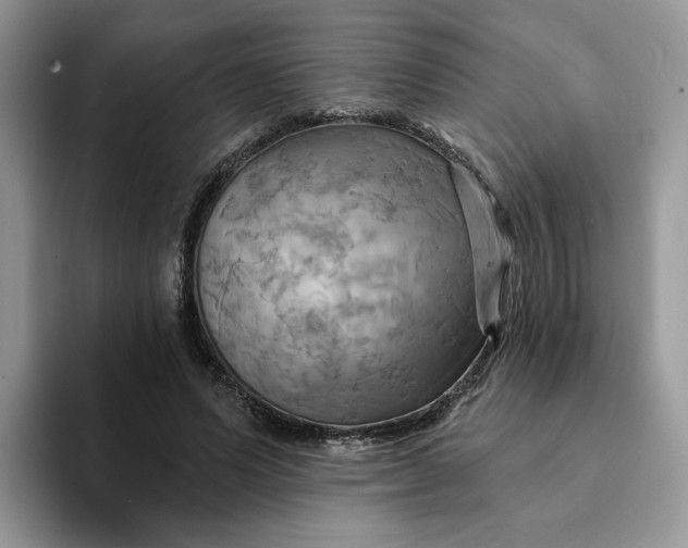 X0000093220591200710171401