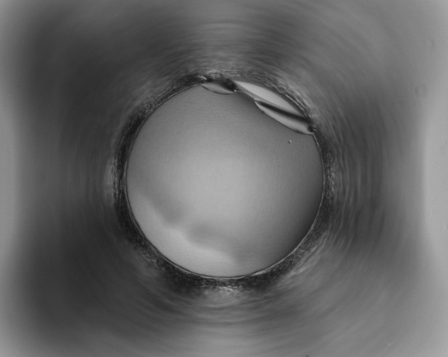 X0000093220594200710171401