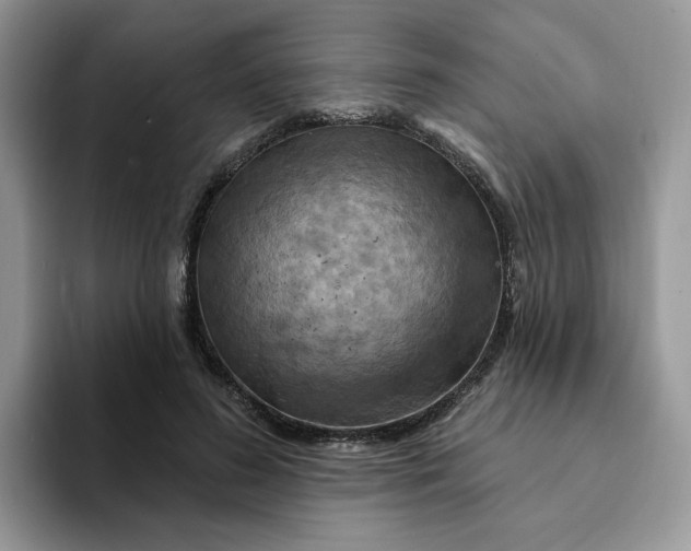 X0000093220596200710171401