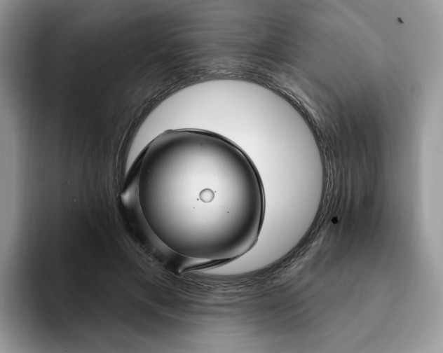 X0000093220597200710171401