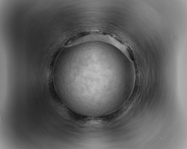 X0000093220601200710171401