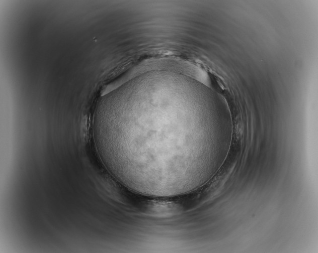 X0000093220605200710171401